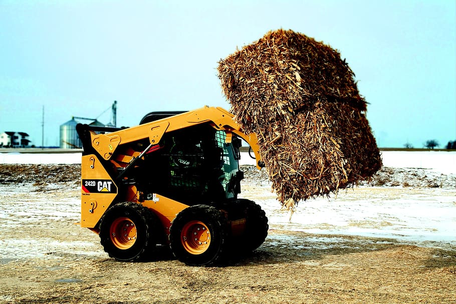 hjullæsser, loader, kompakt laster, kat, 242d, bunke, Indlæser, larve, byggemaskiner, byggearbejde, arbejdsmaskine, klinge, jordarbejde, teknologi, hårdt, konstruktion, strå, bauer, kvæg, landbrugs, natur, jord, dag, transportmidler, land køretøj, himmel, transportform, ingen mennesker, plante, udendørs, Mark, træ, sollys, stak, hø, miljø, strand, skyfri himmel, lastbil, landbrugsmaskiner, hjul, dæk, 2K