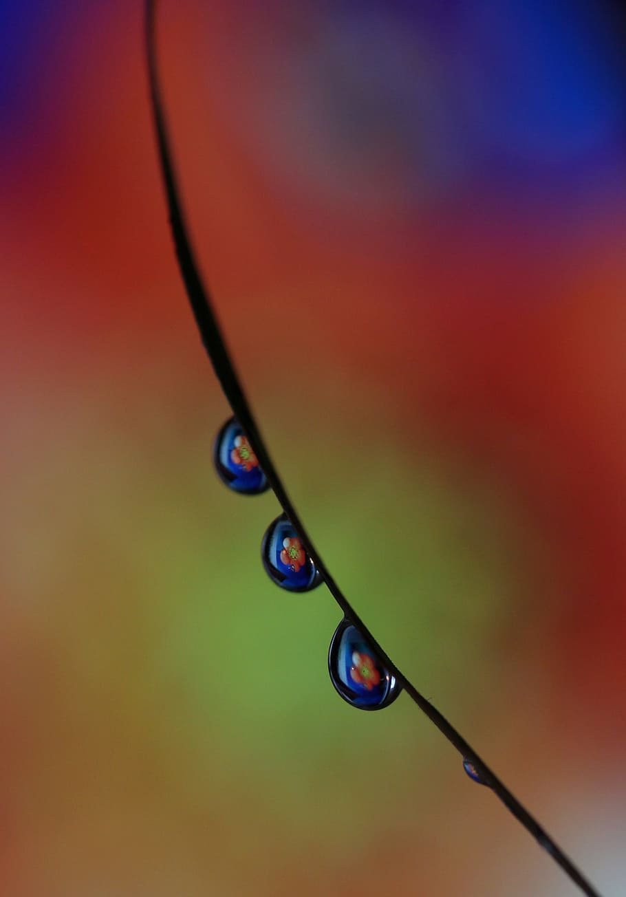 gotas, macro, reflexão, agua, fechar-se, solta, ninguém, foco seletivo, focar em primeiro plano, molhado, close-up extremo, beleza na natureza, natureza, cor verde, multi colorido, plantar, ao ar livre, pureza, vulnerabilidade, fragilidade, lâmina de grama, orvalho, gota de chuva, 2K