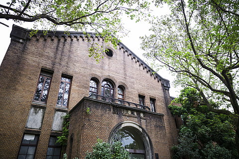 budynek, okno, cegła, architektura, miejski, praca, zewnętrzny, Ściana, wysoki, budowa, szkło, historia, na zewnątrz budynku, drzewo, zbudowana struktura, niski kąt widzenia, roślina, dzień, Natura, żadnych ludzi, na dworze, łuk, stary, niebo, wzrost, Oddział, dzielnica mieszkaniowa, dom, przeszłość, 5K, CC0, domena publiczna, darmowe zdjęcia