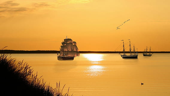 barca a vela, corpo, acqua, giallo, cielo, tramonto, acque, sole, mare, riflessione, crepuscolo, avvio, sera, oceano, nave, comporre, spedire a, albero della barca, trattura, nave alta, atlantico, modifica delle immagini, romanza, manipolazione, nave nautica, mezzi di trasporto, modo di trasporto, natura, colore arancione, la tranquillità, bellezza nella natura, scenics - natura, nessuno, destinazioni di viaggio, silhouette, scena tranquilla, all'aperto, 1080P, CC0, dominio pubblico, privo di copyright