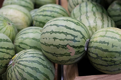 vandmelon, frugt, melon, mad og drikke, mad, sund kost, velvære, friskhed, ingen mennesker, mønster, tæt på, grøn farve, stilleben, marked, indendørs, til salg, markedsbod, gruppe af objekter, fokus på forgrunden, moden, 4K, CC0, offentligt domæne, royaltyfrie
