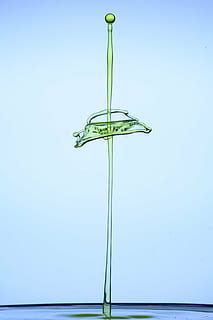 droppa, spray, vatten, flytande, vattendroppe, vattenstänk, hög hastighet, blå, inget folk, skönhet i naturen, natur, studio skott, växt, inomhus, kopiera utrymme, närbild, grön färg, växtstammen, bräcklighet, friskhet, tillväxt, sårbarhet, färgad bakgrund, blomma, blå bakgrund, glas, renhet, 4K, CC0, offentligt domän, royaltyfria
