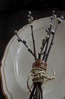 branches, easter, plate, antique, china, salix alba, willow, bouquet, leather, lace, old, close-up, no people, indoors, still life, decoration, focus on foreground, art and craft, metal, selective focus, spirituality, tied up, rope, string, nature, wood - material, table, wall - building feature, low angle view, tied knot, white color, electrical equipment, 4K, CC0, public domain, royalty free
