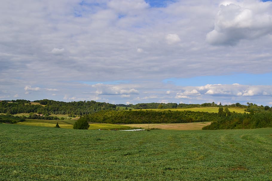 skyer, felter, Mark, natur, prærie, præ, landskab, himmel, dordogne, Frankrig, sky - himmel, plante, grøn farve, scenics - natur, ro, skønhed i naturen, miljø, jord, rolig scene, græs, træ, vækst, dag, ingen mennesker, ikke-urbane scene, idyllisk, udendørs, 4K
