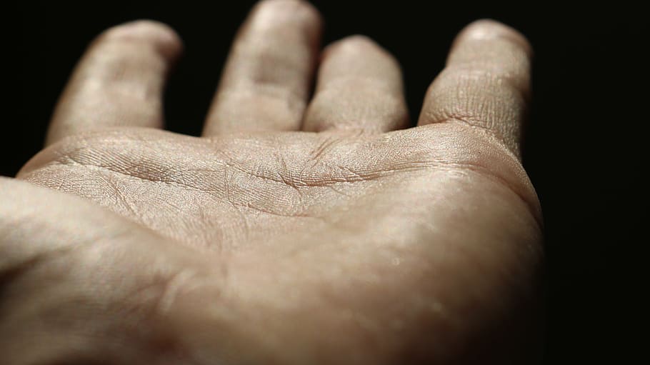 Person, zeigt, links, Mensch, Palme, Hand, Muster, abstrakt, Struktur, Licht, Finger, Linien, menschliches Körperteil, schwarzer Hintergrund, menschliche Hand, eine Person, Nahansicht, Studioaufnahme, Menschen, drinnen, Erwachsene, Körperteil, menschlicher Finger, faltig, menschliche Haut, Haut, selektiver Fokus, persönliche Perspektive, Gliedmaßen, Handgelenk, Daumen, menschliches Glied, 5K