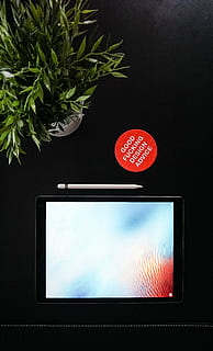 negru, Următor →, marionetă, verde, plante de frunze, argint ipad, marionete, iPad, cu frunze, planta in ghiveci, tehnologie, tabletă digitală, Monitorul computerului, calculator, în interior, roșu, comunicare, tehnologia fără fir, ecran cu cristale lichide, plantă, nici o persoana, ecran, natură, a închide, ecranul dispozitivului, dispozitiv portabil de informații, telefon inteligent, conexiune, studio shot, text, iluminat, telefon mobil, natură moartă, Fundal negru, 5K, CC0, domeniu public, fără drepturi de autor
