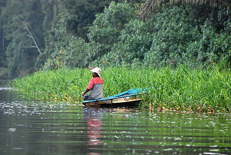 fischer, fish, boot, water, plant, real people, one person, lake, nautical vessel, transportation, tree, nature, waterfront, day, beauty in nature, hat, growth, green color, tranquility, mode of transportation, scenics - nature, outdoors, 4K, CC0, public domain, royalty free
