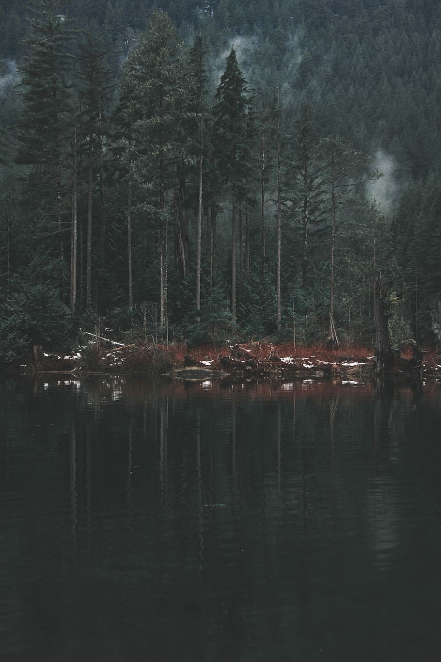 Skov, sø, dagtimerne, landskabsfotografering, legeme, vand, fotografering, landskab, træ, tåge, natur, humør, mørk, grøn, Foto, udendørs, vandring, trekking, udendørs eventyr, landskabsfotograf, eventyrer, eventyr, fotograf, afspejling, havnefronten, plante, ro, rolig scene, skønhed i naturen, ingen mennesker, scenics - natur, ikke-urbane scene, dag, jord, vækst, 5K
