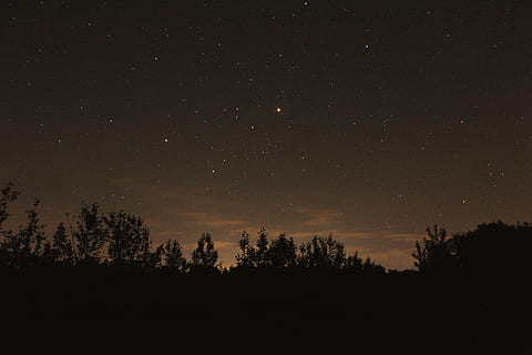 Průhledná, nebe, hvězd, silueta fotografie, stromy, noční obloha, hvězda, mrak, treeline, západ slunce, Příroda, noc, hvězda - prostor, astronomie, krajina, temný, soumrak, venku, scén, silueta, strom, klidné scény, klid, krása v přírodě, scenics - příroda, rostlina, prostor, nikdo, idylický, růst, hvězdné pole, mimoměstské scény, nízký úhel pohledu, prostor a astronomie, 5K, CC0, veřejná doména, bez autorských práv