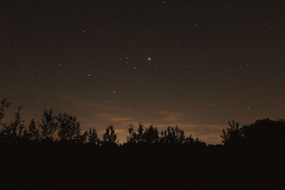 Průhledná, nebe, hvězd, silueta fotografie, stromy, noční obloha, hvězda, mrak, treeline, západ slunce, Příroda, noc, hvězda - prostor, astronomie, krajina, temný, soumrak, venku, scén, silueta, strom, klidné scény, klid, krása v přírodě, scenics - příroda, rostlina, prostor, nikdo, idylický, růst, hvězdné pole, mimoměstské scény, nízký úhel pohledu, prostor a astronomie, 5K