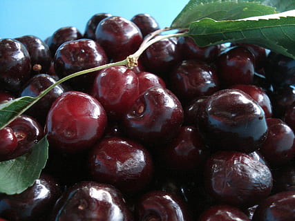 guindas, Fruta, Cereza, rojo, comida, frutas rojas, alimentos, comida y bebida, alimentación saludable, bienestar, frescura, de cerca, nadie, gran grupo de objetos, naturaleza muerta, abundancia, adentro, naturaleza, maduro, fruta de baya, parte de la planta, comida dulce, estilo de vida saludable, antioxidante, 2K, CC0, dominio público, libre de derechos