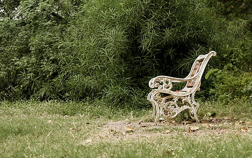 banc, parc, ennuvolat, humor, seient, relaxa't, pacífica, jardí, a l'aire lliure, verd, planta, herba, color verd, naturalesa, arbre, mamífer, cap gent, animal, terra, creixement, temes d'animals, dia, un animal, camp, cérvol, material de fusta, bellesa a la natura, bosc, representació, 1080P, CC0, domini públic, lliure de regalies