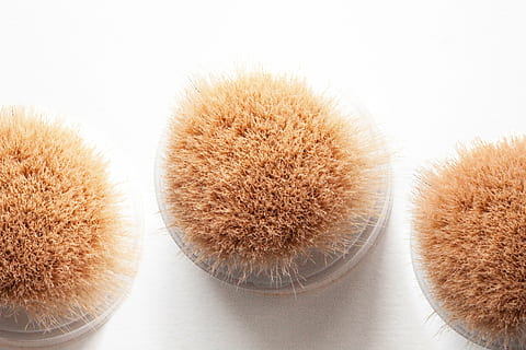 pols, estructura, fons, raspall, suau, cosmètics, parlar, mineral suau, tapar la pell, antibacterià, primer pla, producte de bellesa, cap gent, tir de l'estudi, a l'interior, menjar, frescor, planta, grup d'objectes, naturalesa, menjar i beguda, fons blanc, marró, natura morta, bellesa, taula, salut i medicina, maquillatge, variació, 4K, CC0, domini públic, lliure de regalies