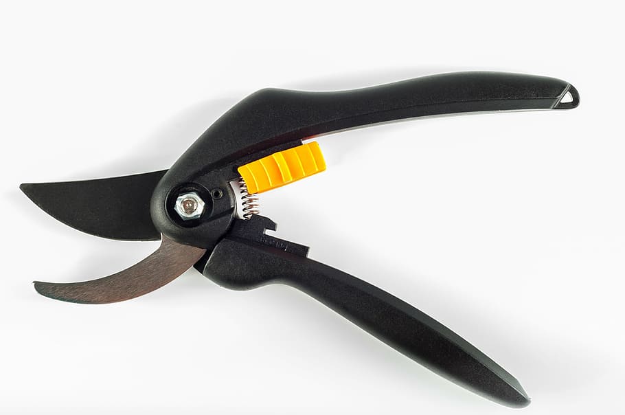 negre, gris, tallador de jardí, blanc, superfície, fons, aïllat, jardí, tisores, podadora, objecte, equipament, acer, tallar, eina, plàstic, instrument, jardineria, accessori, agut, ganivet, fulla, aparell, tallador, clipper, poda, cobertura, retallar, metall, retallada, nanses, trimmer, metàl·lic, treballar, branca, mà, fons blanc, sol objecte, tir de l'estudi, eina de treball, a l'interior, primer pla, fet per l'home, objectes fets per l’home, gestionar, Eina de mà, cap gent, ganivet: arma, comunicació, protecció, color negre, tall, aliatge, 4K