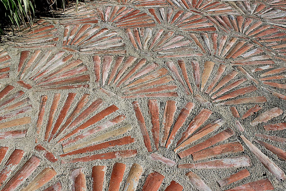 Boden, Muster, rot, Platten, bunt, Dekoration, Vollbild, keine Leute, High Angle View, Design, Hintergründe, Nahansicht, texturiert, braun, gestalten, Tag, draußen, Tier, Tierthemen, Natur, natürliches Muster, Kunst und Handwerk, Wachstum, Stillleben, Marine, Seestern, Decke, 4K
