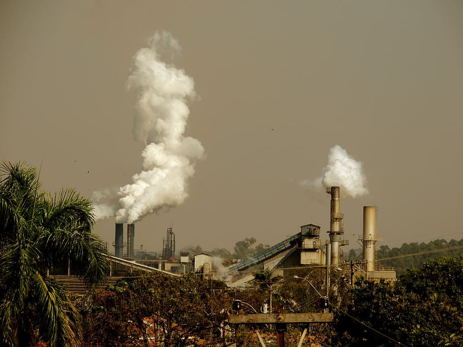planta de coco, al costat, edifici, Pol · lució, indústria, medi ambient, industrialització, fum - estructura física, fàbrica, pila de fums, exterior de l'edifici, qüestions ambientals, contaminació de l'aire, emetent, cel, estructura construïda, arquitectura, naturalesa, ciència, cap gent, química, cel clar, dia, fums, a l'aire lliure, atmosfèric, ecosistema, verinós, 4K