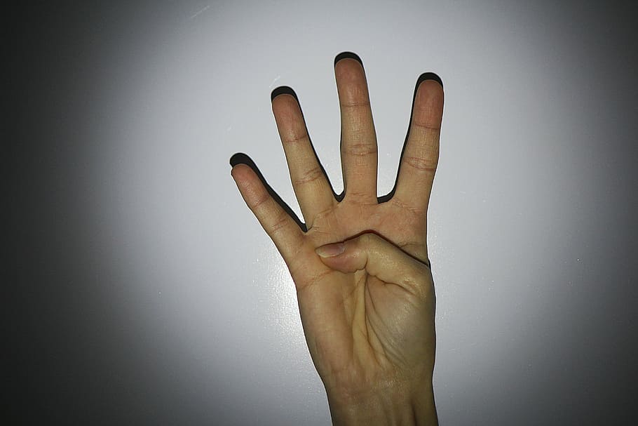 mà, dit, quatre, mà humana, part del cos humà, tir de l'estudi, fons gris, a l'interior, una persona, part del cos, dit humà, gris, primer pla, gesticulant, adult, comunicació, palmell, persona irreconeixible, èxit, mostrant, 5K