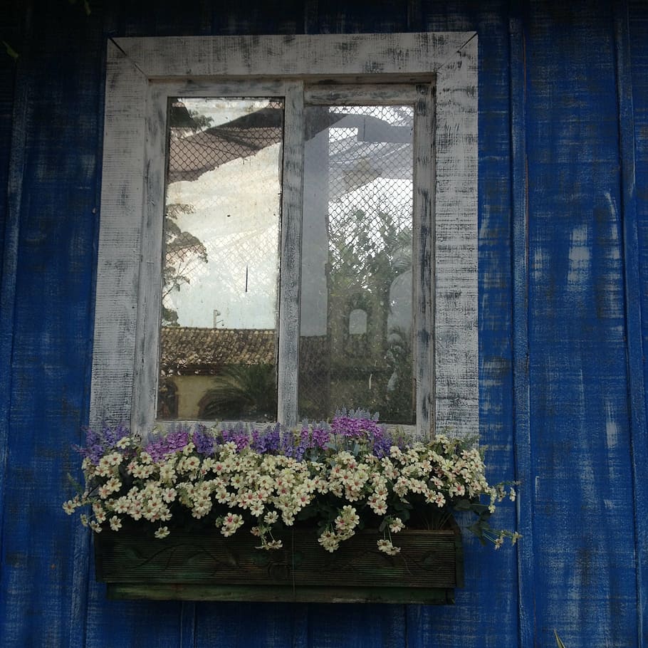 flori, fereastră, balcon, floare, planta cu flori, plantă, arhitectură, construită, creştere, natură, zi, exteriorul clădirii, nici o persoana, prospeţime, clădire, fragilitate, vulnerabilitate, albastru, sticlă - material, transparent, frumusețe în natură, în aer liber, Violet, ghiveci, rama ferestrei, 1080P
