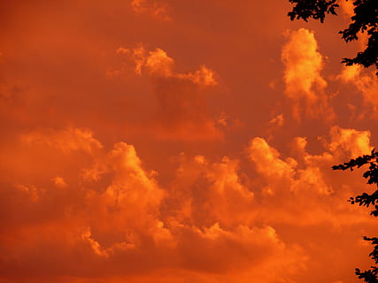 oranje, luchten, zonsondergang, rood, hemel, wolken, humeur, avond, avondlucht, nagloed, abendstimmung, schemer, mooi, natuur, atmosfeer, surrealistische, boom, rust uit, omgeving, nog steeds, zon opkomst, landschap, brandend, brand, buitenshuis, wolk - lucht, zonlicht, zomer, zon, geel, Oranje kleur, cloudscape, Vakantiebestemmingen, dramatische hemel, schoonheid in de natuur, achtergronden, scenics - natuur, rustige scène, kalmte, idyllisch, ontzag, geen mensen, bewolking, milieu, abstract, wind, donker, 2K, CC0, publiek domein, royaltyvrij