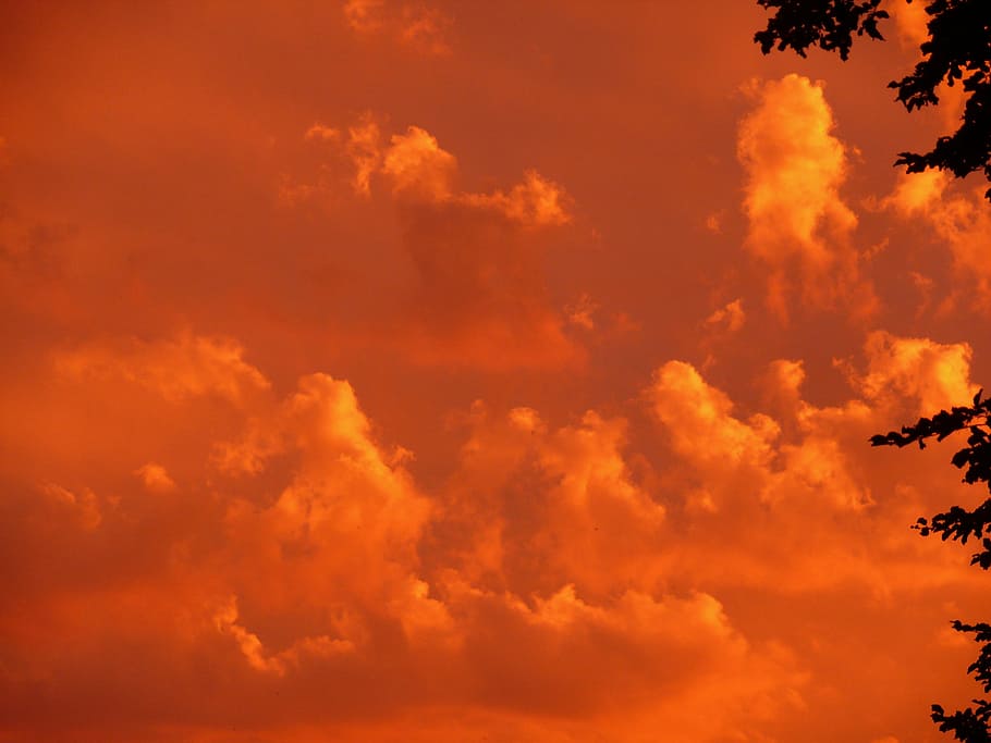 taronja, cels, posta de sol, vermell, cel, núvols, humor, tarda, cel de la nit, resplendor, abendstimmung, vespre, bonic, naturalesa, atmosfera, surrealista, arbre, descans, configuració, encara, arrossegament, paisatge, cremant, foc, a l'aire lliure, núvol - cel, llum solar, estiu, sol, groc, color taronja, cloudscape, escenics, cel dramàtic, bellesa a la natura, fons, escenics - natura, escena tranquil·la, tranquil·litat, idíl·lic, por, cap gent, núvol, medi ambient, resum, vent, fosc, 2K