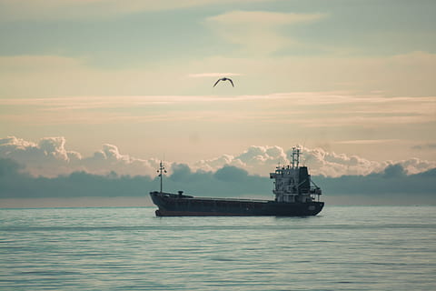 Meer, Schiff, Möwe, Wolken, Seehafen, seelandschaft, Himmel, Wasser, Ufergegend, Wasserfahrzeug, Transport, wolke - himmel, Transportmittel, Schönheit in der Natur, Natur, Szenen - Natur, Sonnenuntergang, keine Leute, Reise, draußen, Segeln, ruhige Szene, idyllisch, 5K, CC0, gemeinfrei, lizenzfrei