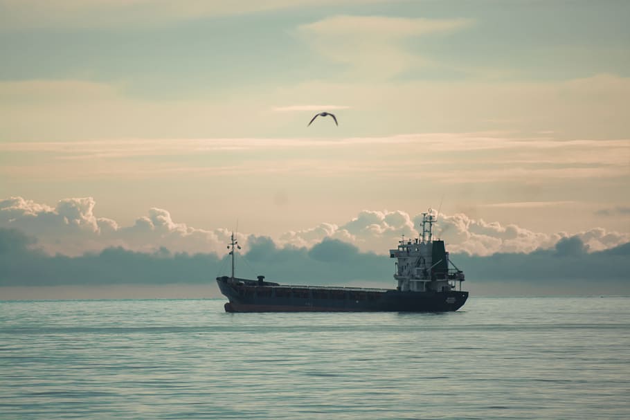 Meer, Schiff, Möwe, Wolken, Seehafen, seelandschaft, Himmel, Wasser, Ufergegend, Wasserfahrzeug, Transport, wolke - himmel, Transportmittel, Schönheit in der Natur, Natur, Szenen - Natur, Sonnenuntergang, keine Leute, Reise, draußen, Segeln, ruhige Szene, idyllisch, 5K