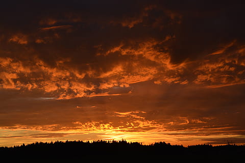 matahari, malam, matahari terbenam, awan, langit, langit malam, hangat, Perasaan Senang, suasana hati, pemandangan, pohon, keindahan di alam, awan - langit, scenics - alam, bayangan hitam, adegan yang tenang, ketenangan, warna oranye, langit yang dramatis, alam, idilis, menanam, tidak ada orang, adegan non-urban, lingkungan Hidup, perasaan kagum, gelap, di luar rumah, 5K, CC0, domain publik, bebas royalti