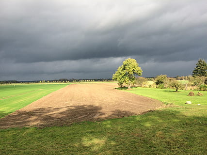 wolken, boom, veld-, hemel, natuur, landschap, landschappen, overdekte lucht, wolk - lucht, fabriek, milieu, gras, land-, scenics - natuur, schoonheid in de natuur, storm, stormwolk, geen mensen, groene kleur, bewolking, rustige scène, kalmte, buitenshuis, onheilspellend, 2K, CC0, publiek domein, royaltyvrij