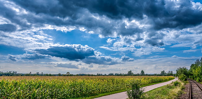 Fotografie, Grün, Rasenplatz, Tageszeit, grünes Gras, Tag, Zeit, Kornfeld, Landschaft, Wolken, Sommer-, Himmel, Natur, ländliche Szene, wolke - himmel, Blau, draußen, Landwirtschaft, Feld, szenen, Wolkengebilde, Nicht-städtische Szene, Horizont über Land, Bauernhof, Horizont, Schönheit in der Natur, keine Leute, Land, Ruhe, Umgebung, Pflanze, Szenen - Natur, Gras, ruhige Szene, Ernte, 4K, CC0, gemeinfrei, lizenzfrei