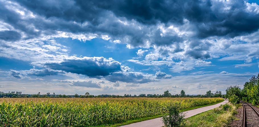 Fotografie, Grün, Rasenplatz, Tageszeit, grünes Gras, Tag, Zeit, Kornfeld, Landschaft, Wolken, Sommer-, Himmel, Natur, ländliche Szene, wolke - himmel, Blau, draußen, Landwirtschaft, Feld, szenen, Wolkengebilde, Nicht-städtische Szene, Horizont über Land, Bauernhof, Horizont, Schönheit in der Natur, keine Leute, Land, Ruhe, Umgebung, Pflanze, Szenen - Natur, Gras, ruhige Szene, Ernte, 4K