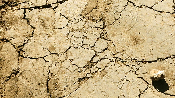 Bodentextur, Boden, Textur, Riss, trocken, Wüste, Erde, Dürre, Schmutz, Land, Schlamm, Natur, trockenes Klima, Klima, Hintergründe, Hitze - Temperatur, geknackt, Muster, Umgebung, braun, Lehm, texturiert, Naturkatastrophe, Szenen - Natur, Umweltprobleme, unfruchtbar, Vollbild, keine Leute, Klimawandel, draußen, abstrakt, Struktureffekt, brechen, 1080P, CC0, gemeinfrei, lizenzfrei