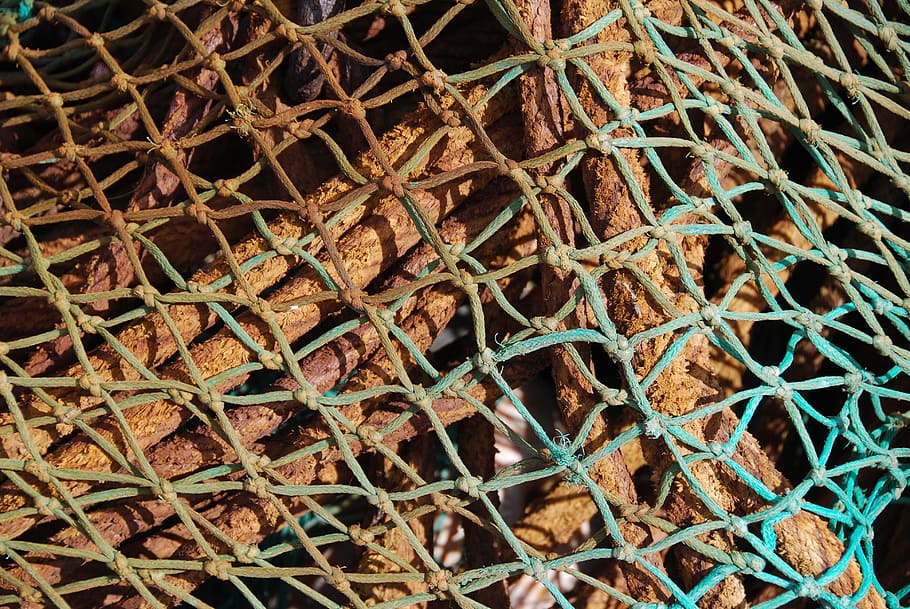 Seil, Netz, Textur, Muster, nautisch, Marine, Vollbild, Hintergründe, keine Leute, Wachstum, Pflanze, Tag, Natur, Nahansicht, Pflanzenteil, Blatt, Metall, braun, draußen, trocken, Schönheit in der Natur, Kaktus, grüne Farbe, High Angle View, Sukkulente, Komplexität, 4K