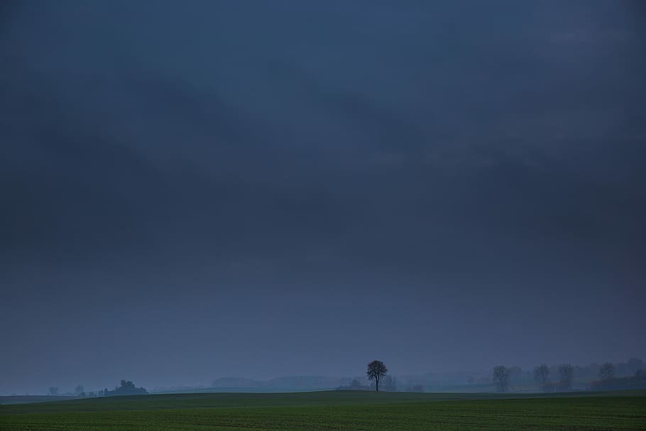 gris, cel, verd, camps, camps verds, blau, ennuvolat, país, paisatges, nit, arbres, naturalesa, paisatge, a l'aire lliure, escena rural, fosc, núvol - cel, escenics, camp, herba, medi ambient, terra, tranquil·litat, una persona, escenics - natura, escena tranquil·la, bellesa a la natura, homes, activitat d'oci, horitzó, horitzó sobre la terra, planta, 5K