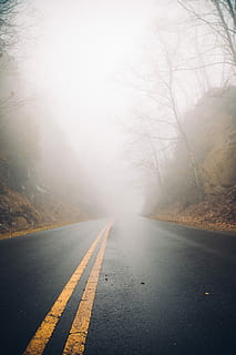 foto, vuoto, strada asfaltata, strada asfaltata nebbiosa, strada, nebbia, albero, prospettiva, viaggio su strada, cartello, mezzi di trasporto, segnaletica stradale, simbolo, marcatura, direzione, la strada davanti, natura, giorno, nessuno, strada vuota, strada di campagna, prospettiva decrescente, asfalto, doppia linea gialla, all'aperto, linea di divisione, lungo, 5K, CC0, dominio pubblico, privo di copyright