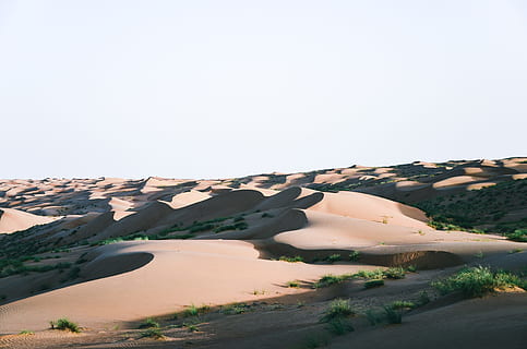 aavikko, Puut, kasvit, maisema-valokuvaus, Oman, luonto, maisema, scenics, hiekkadyyni, kuiva, mäki, ulkona, taivas, hiekka, maaseudulla, ei ihmisiä, päivä, kirkas taivas, kopiointitila, ympäristö, rauhallinen kohtaus, maisemat - luonto, kauneus luonnossa, tyyneys, ei-kaupunkikuvia, maa, auringonvalo, etä, idyllinen, rock, ilmasto, kuiva ilmasto, 4K, CC0, public domain, rojaltivapaa