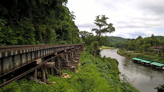 railroad, waterfront, parallel paths, tree, plant, water, nature, green color, sky, beauty in nature, day, growth, river, no people, tranquility, non-urban scene, cloud - sky, scenics - nature, bridge, transportation, connection, outdoors, 4K, CC0, public domain, royalty free
