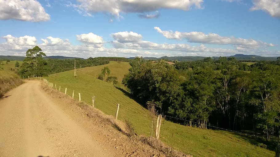 Straße, Feld, Wald, Innere, serra, Natur, Bäume, Umgebung, Garten, Grün, Vegetation, Kofferraum, Holz, alter Baum, See, Landschaft, Pflanze, Blätter, alt, blauer Himmel, Tag, Zweige, Park, Mond, Blume des Feldes, mato, Möwen, Himmel, Vögel, eventide, Sol, Erhaltung, Landwirtschaft, szenen, ländliche Szene, Baum, wolke - himmel, Land, Szenen - Natur, Schönheit in der Natur, grüne Farbe, Ruhe, ruhige Szene, Gras, keine Leute, Wachstum, draußen, 2K