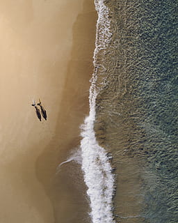 antenowy, fotografia, dwa, osoby, pieszy, wzdłuż, pobrzeże, dzień, fale morskie, Wybrzeże, Tapeta, tapety na Androida, android tła, tło ekranu blokady, surfer, woda, wylądować, morze, ruch, piękno natury, sport wodny, Natura, scenics - natura, plaża, żadnych ludzi, latający, widok z lotu ptaka, piasek, sport, fala, wysoki kąt widzenia, spokój, na dworze, 2K, CC0, domena publiczna, darmowe zdjęcia