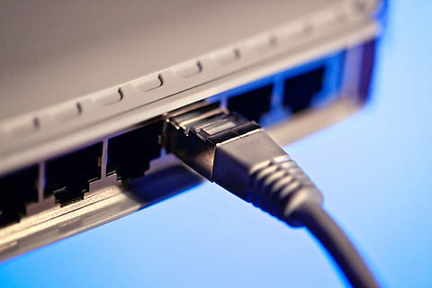 câble Ethernet, prise de courant, réseau, l'Internet, ethernet, câble, lan, ligne, commutateur, prise de connexion réseau, la communication, réseau informatique, câble d'ordinateur, La technologie, lien, Technologie sans fil, ordinateur, Les données, routeur, bleu, équipement informatique, serveur de réseau, équipement, fermer, modem, prise de vue en studio, équipement de télécommunication, communications globales, la biologie, câblé, bloc de connexion, 5K, CC0, domaine public, libre de droits