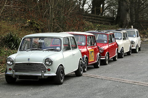 Auto, klein, Mini, Farben, Weiß, rot, Straße, Transport, Automobil, Fahrzeug, Ausflug, Reise, Fahrt, Transportmittel, Landfahrzeug, Kraftfahrzeug, stationär, Tag, Baum, Stadt, keine Leute, in einer Reihe, draußen, Parkplatz, Pflanze, LKW, weiße Farbe, 5K, CC0, gemeinfrei, lizenzfrei