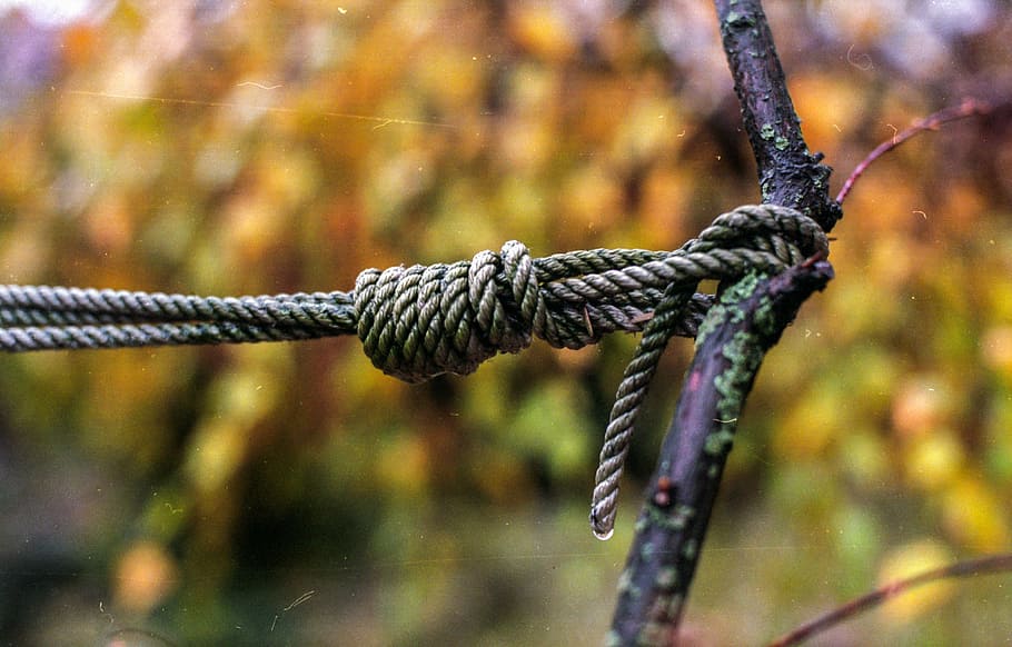 nus, corda, lligat, cadena, símbol, marró, bucle, final, aspre, seguretat, arbre, centrar-se en primer pla, primer pla, cap gent, dia, metall, força, naturalesa, a l'aire lliure, retorçat, enfocament selectiu, branca, rovellat, connexió, planta, filferro espinós, tanca, aigua, cable, enredat, 2K