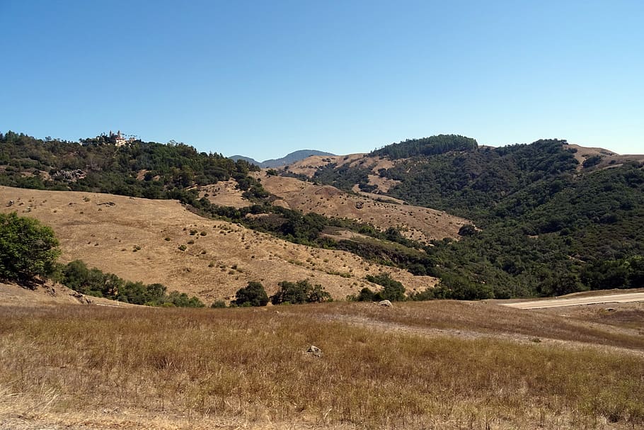 ranxo, vista, bosc, mediterrani, castell de Hearst, Califòrnia, pacífic, Costa, EUA, Amèrica, medi ambient, paisatge, planta, cel, arbre, escenics - natura, terra, tranquil·litat, cel clar, escena tranquil·la, bellesa a la natura, muntanya, naturalesa, cap gent, dia, escena no urbana, a l'aire lliure, camp, herba, remot, semiàrid, clima àrid, 2K