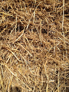 straw, grass, grain, hay, bale, haystack, nature, agriculture, backgrounds, farm, rural Scene, dry, brown, full frame, plant, high angle view, no people, close-up, day, field, land, outdoors, tranquility, beauty in nature, directly above, crop, dried, 2K, CC0, public domain, royalty free