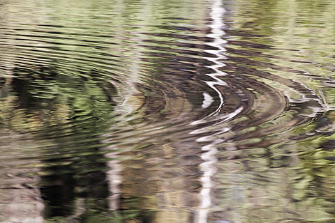 increspature d'acqua, mirroring, fondo, sfondo, struttura, concentrico, acqua, lago, foresta, abstrakt, sfondi, increspato, nessuno, fotogramma intero, natura, movimento, giorno, riflessione, all'aperto, lungomare, bellezza nella natura, movimento sfocato, modello, la tranquillità, vista dall'alto, superficie, purezza, 4K, CC0, dominio pubblico, privo di copyright