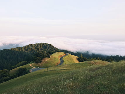 zelená, tráva horské foto, během dne, zelená tráva, tráva hory, fotografie, Příroda, krajina, scén, strom, kopec, venku, venkovské scény, nebe, tráva, les, louka, mimoměstské scény, krása v přírodě, hora, mrak - nebe, zelená barva, krajiny, klidné scény, rostlina, scenics - příroda, životní prostředí, přistát, klid, nikdo, pole, den, růst, idylický, zvlněná krajina, 1080P, CC0, veřejná doména, bez autorských práv
