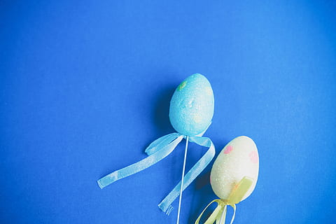 sienas, olas, dizains, apdare, dekoru, Lieldienu olas, zils, zieds, tuvplāns, augu, ēdiens, svaigumu, nav cilvēku, ziedēšanas augs, raksturs, nestabilitāte, Lieldienu ola, neaizsargātību, ola, pārtika un dzērieni, Lieldienas, svinības, kopēt vietu, studija, skaistums dabā, zils fons, pavasarī, ziedu galva, 4K, CC0, publiskais domēns, bez atlīdzības