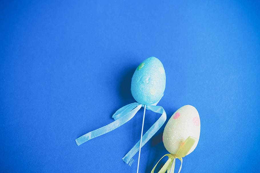 paret, ous, disseny, decoració, ous de Pasqua, blau, flor, primer pla, planta, menjar, frescor, cap gent, planta amb flors, naturalesa, fragilitat, ou de Pasqua, vulnerabilitat, ou, menjar i beguda, Pasqua, celebració, còpia espai, tir de l'estudi, bellesa a la natura, fons blau, primavera, cap de flor, 4K