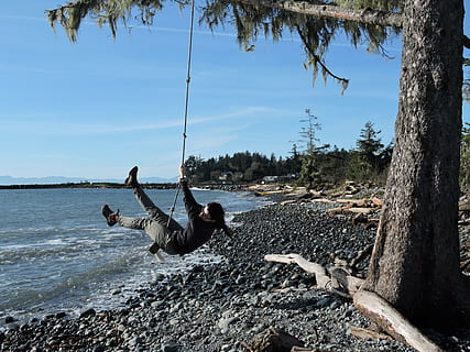 swing, ocean, rope, fun, girl, enjoyment, swinging, shore, dom, tree, water, plant, nature, sky, land, beauty in nature, day, animal, animal themes, vertebrate, scenics - nature, trunk, animal wildlife, group of animals, tree trunk, sunlight, non-urban scene, lake, outdoors, 4K, CC0, public domain, royalty free