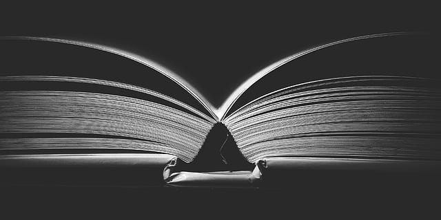 grayscale photography, book, dark, room, binding, black and white, literature, education, reading, learning, page, textbook, library, publication, indoors, people, paper, architecture, wisdom, open, close-up, expertise, creativity, darkroom, night, 2K