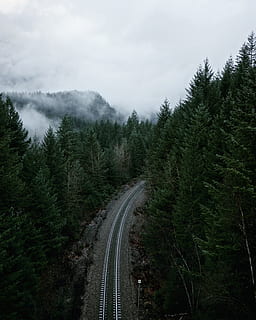 antenne, se fotografering, fyrretræer, dagtimerne, togbane, midten, spor, i skoven, natur, bjerg, Skov, landskab, scenics, træ, udendørs, vej, rejse, ingen mennesker, transportmidler, sky - himmel, fyrretræ, plante, himmel, retning, vejen frem, skønhed i naturen, ro, ikke-urbane scene, rolig scene, vækst, dag, scenics - natur, grøn farve, jernbanetransport, faldende perspektiv, spore, nåletræ, 4K, CC0, offentligt domæne, royaltyfrie